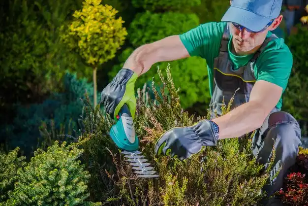 landscaping services New Miami